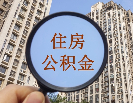 查询公积金-洛阳公积金代办平台